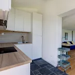 Apartment - Balcons Des Volcans - Vue Puy De Dome Saint-Genes-Champanelle