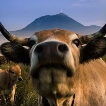 - Balcons Des Volcans - Vue Puy De Dome Apartament