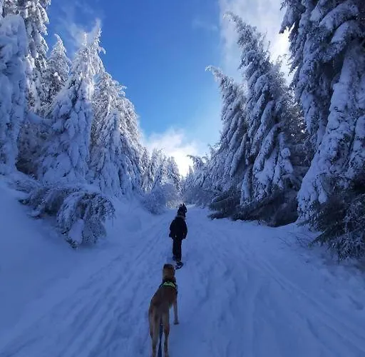 - Balcons Des Volcans - Vue Puy De Dome