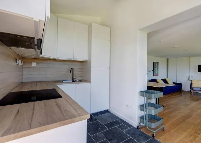 Apartament - Balcons Des Volcans - Vue Puy De Dome Saint-Genès-Champanelle